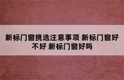 新标门窗挑选注意事项 新标门窗好不好 新标门窗好吗